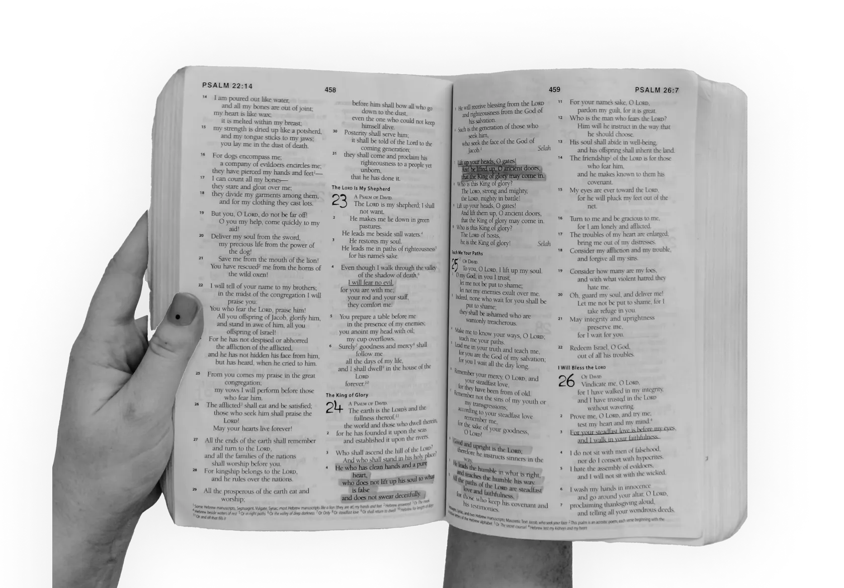 Une bible ouverte tenue dans les mains